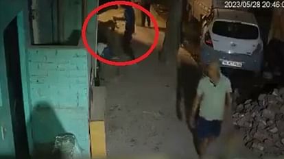 Delhi Murder Case: Man Stabbed a Minor Girl With Knife, Video Recorded CCTV Footage