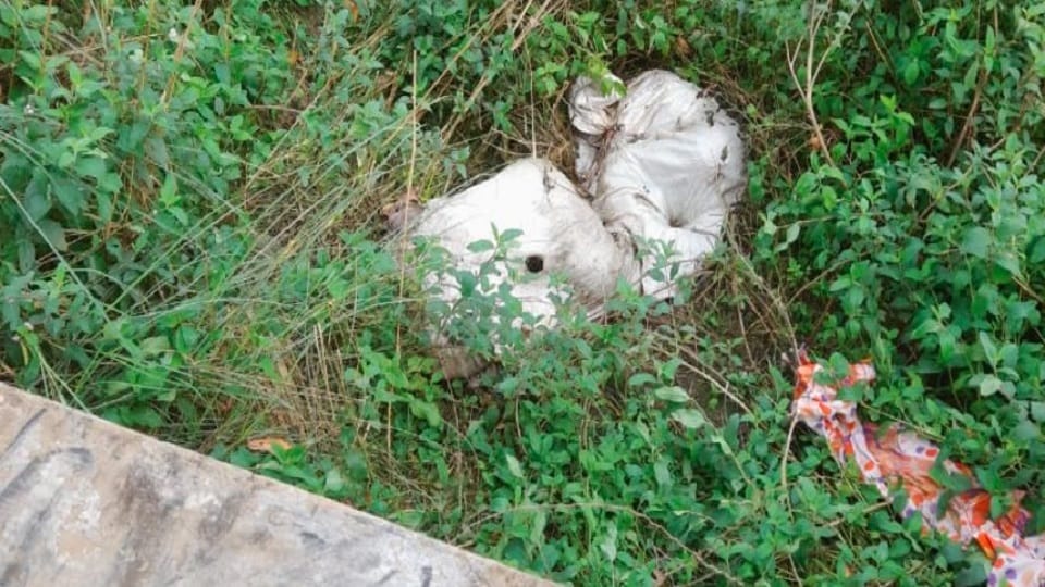 Whose dead body was found in a closed sack Police is looking for clues from showroom's carry bag