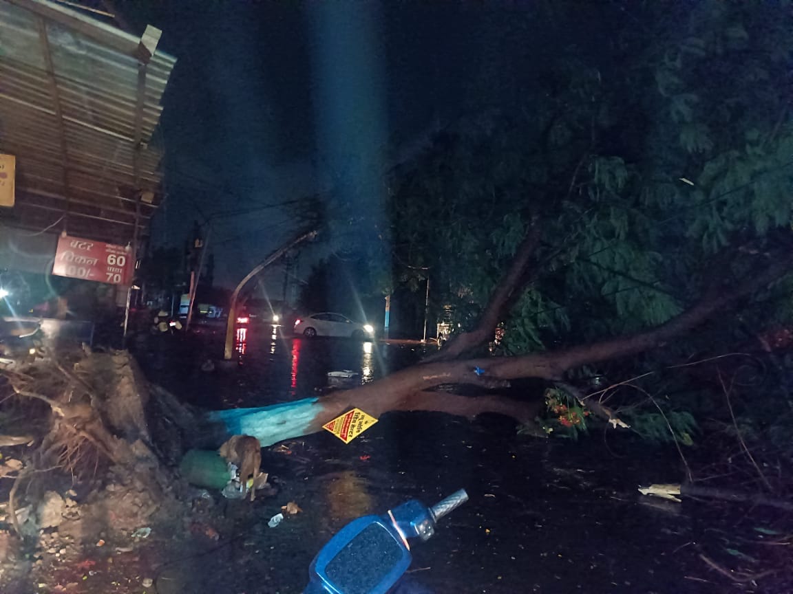 Thunderstorm in Indore at midnight, hundreds of trees fell, power failure in many areas