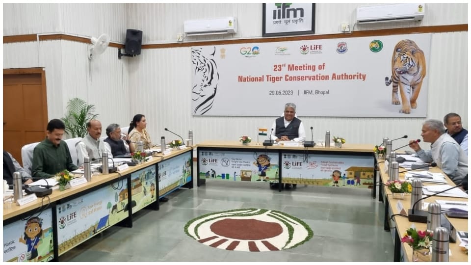 Rajsamand MP Diya Kumari raised the issue of Tiger Sanctuary in Kumbhalgarh in NTCA meeting held in Bhopal