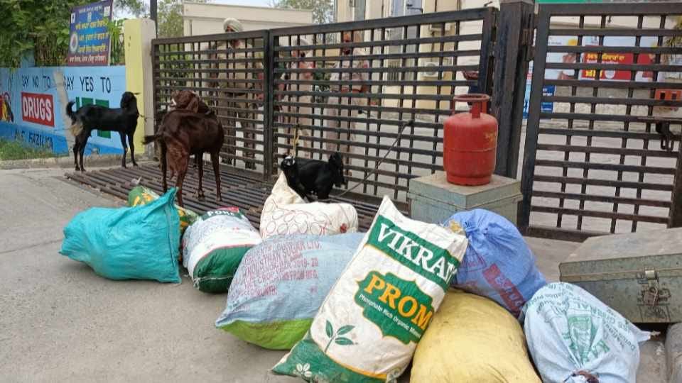 Labourer sitting on dharna at Fazilka DC office gate in Punjab