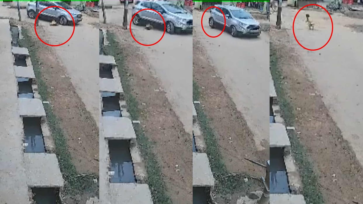 car passed over girl she got up and ran in Gorakhpur