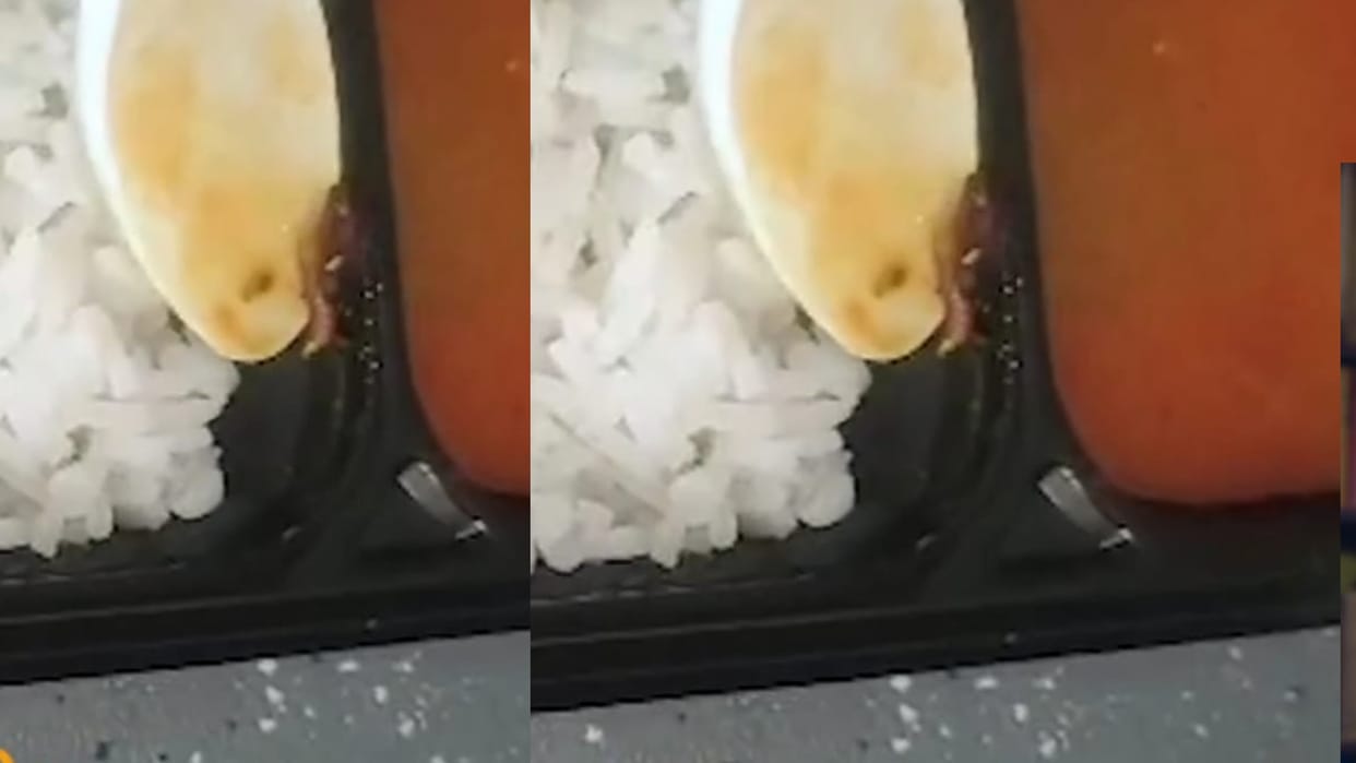 Food ordered in train, cockroach found dead in pulses, Indore family complains