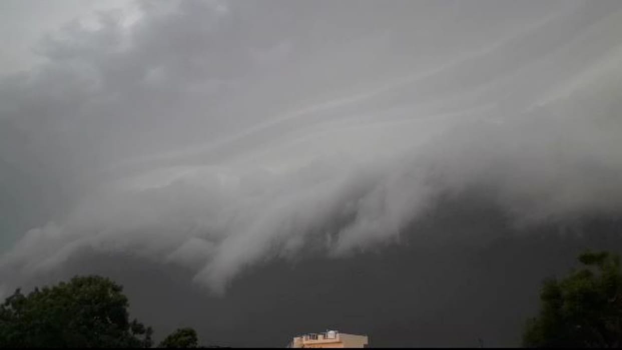 Orange alert for rain in 20 districts of Rajasthan