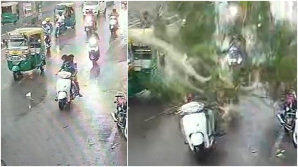 Tree fell on scooty riders on the road in Jodhpur 3 injured Rajasthan Viral Video