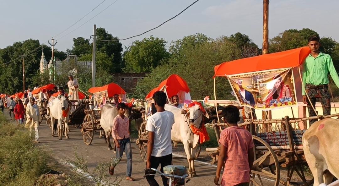 A unique wedding procession took place in Banda, the groom arrived in bullock carts to bid farewell to the bri