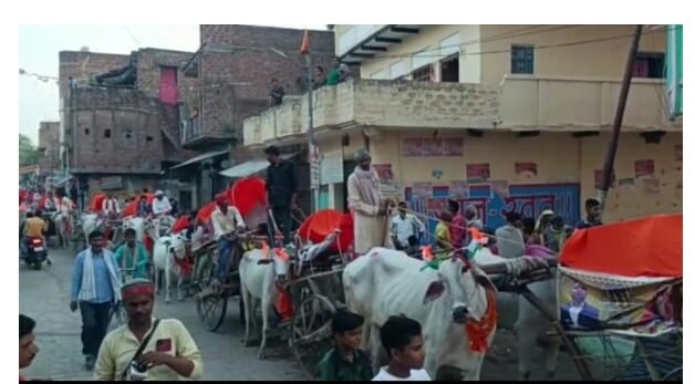 A unique wedding procession took place in Banda, the groom arrived in bullock carts to bid farewell to the bri