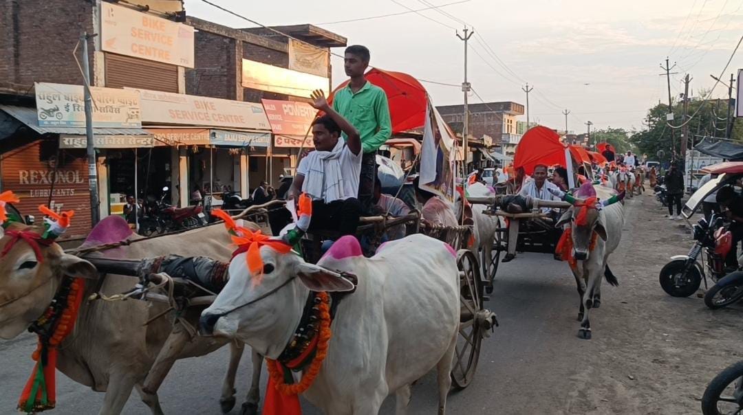 A unique wedding procession took place in Banda, the groom arrived in bullock carts to bid farewell to the bri