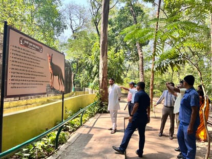 Bihar: Minister Tej Pratap Yadav reached Patna ZOO, inspected, saw animals; Lalu Yadav, RJD, Tejashwi Yadav
