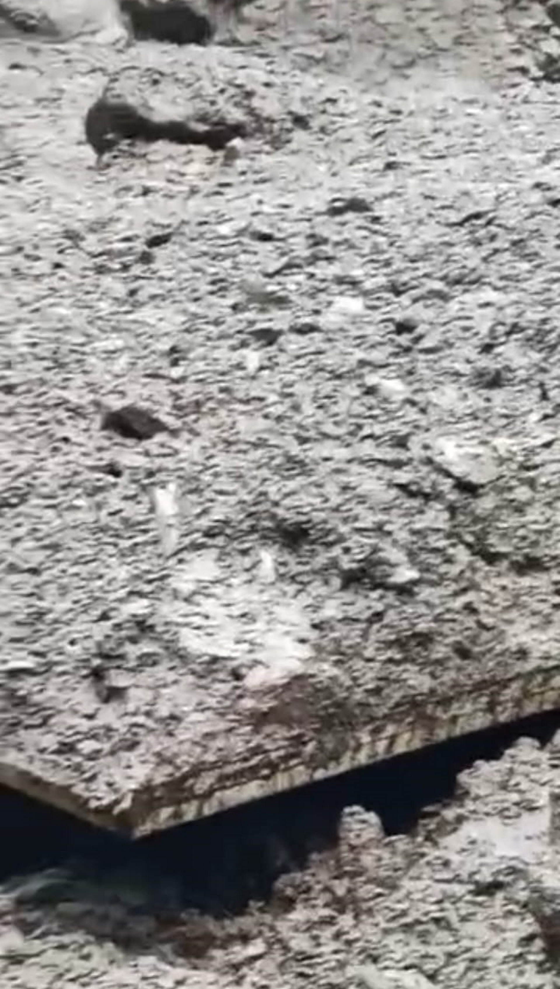 Heavy rains in Uttarakhand vehicle buried under debris in Uttarkashi Barkot Mussoorie Weather Updates today