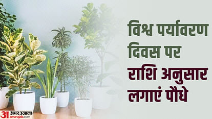 World Environment Day 2023 Plant trees according to your zodiac sign on World Environment Day