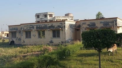 milch animals Breed Improvement Center could not be started in Bareilly