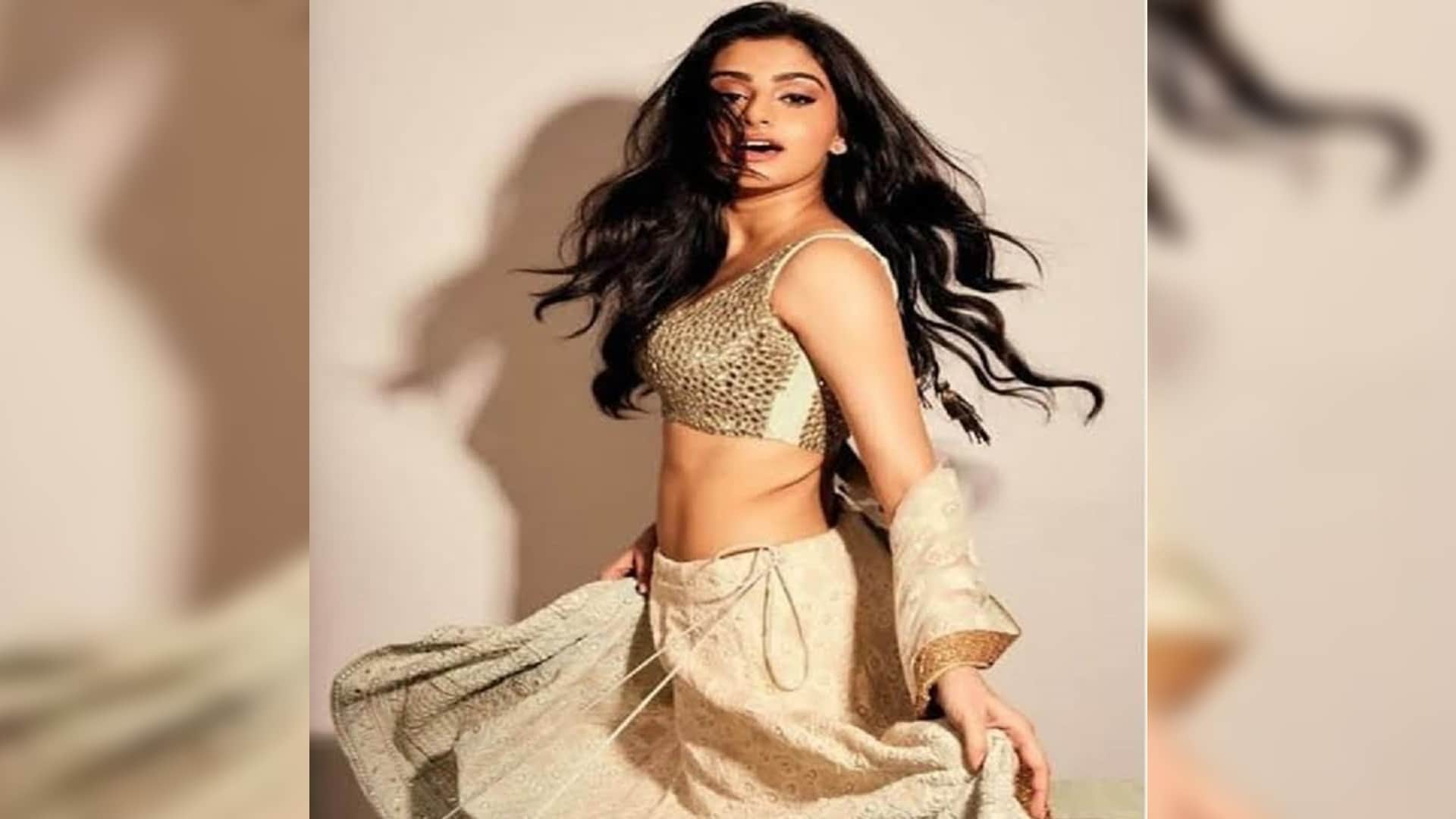 Bhagyashree Daughter Avantika Dassani is going to do her bollywood debut from telugu film nenu student sir
