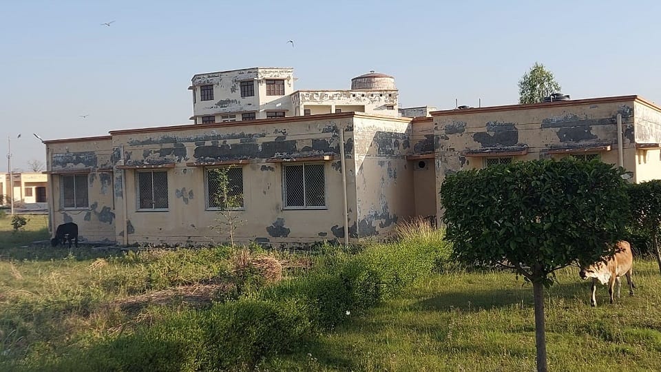 milch animals Breed Improvement Center could not be started in Bareilly