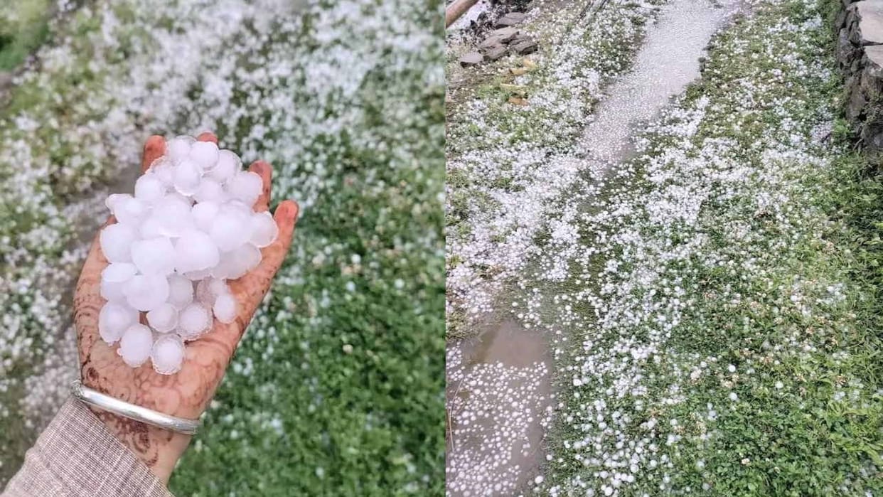 Himachal Weather Update: Apple crop destroyed due to heavy hailstorm in Nithar,snowfall in Rohtang