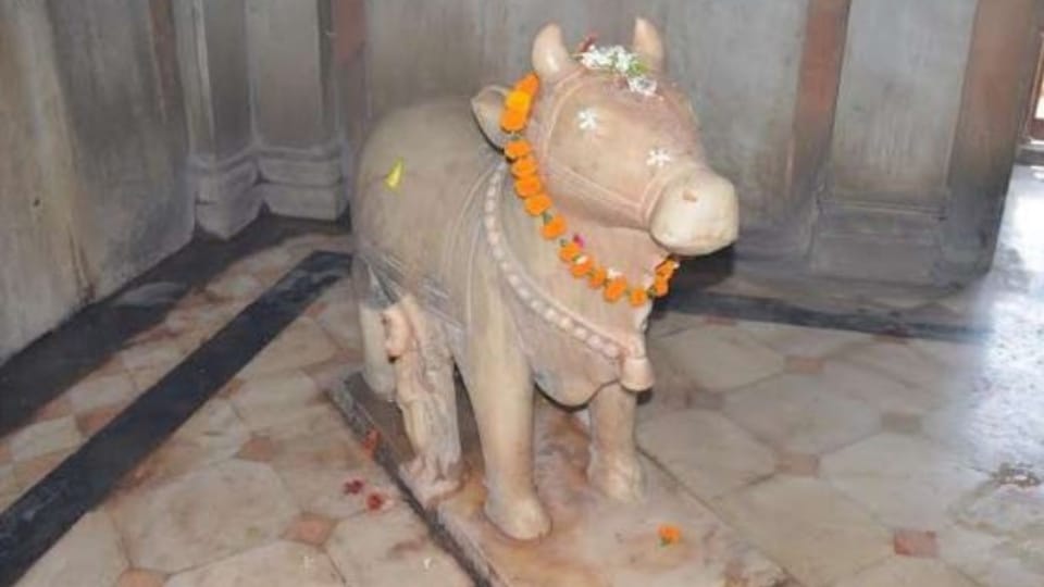 medak mandir lakhimpur history lord Shiva sitting on the back of frog