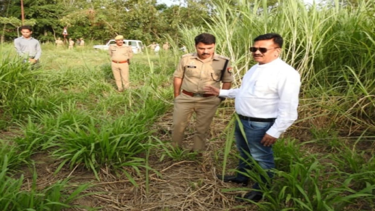 Saharanpur: DM Dinesh Chandra was pleased to see Napier grass and awarded 51 rupees to farmer Vinod