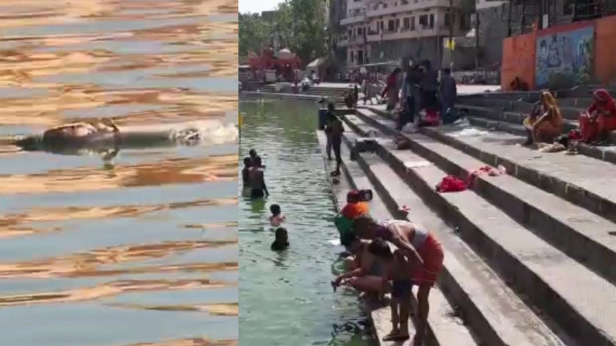 Dead body of animal flowing in Maa Shipra river in Ujjain