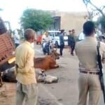 पकड़ा गया ट्रक।