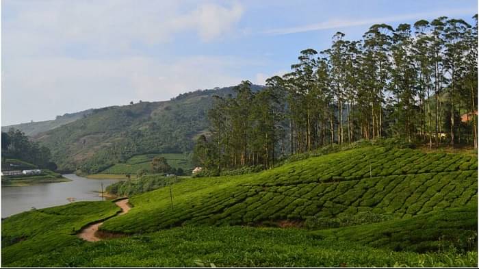 Best Places to Visit in North India Know Famous Hill Station in North India to Visit This Season