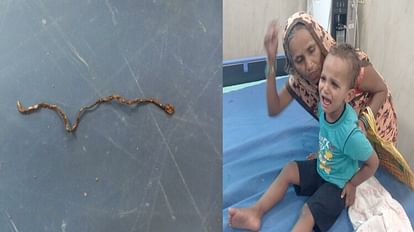 Farrukhabad: Innocent child chewed snake while playing