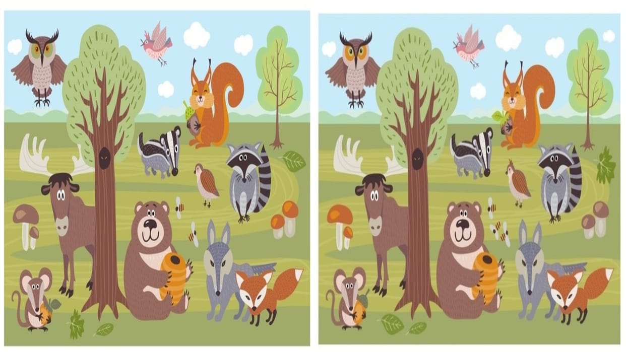 optical illusion find ten differences in these picture quiz puzzle game