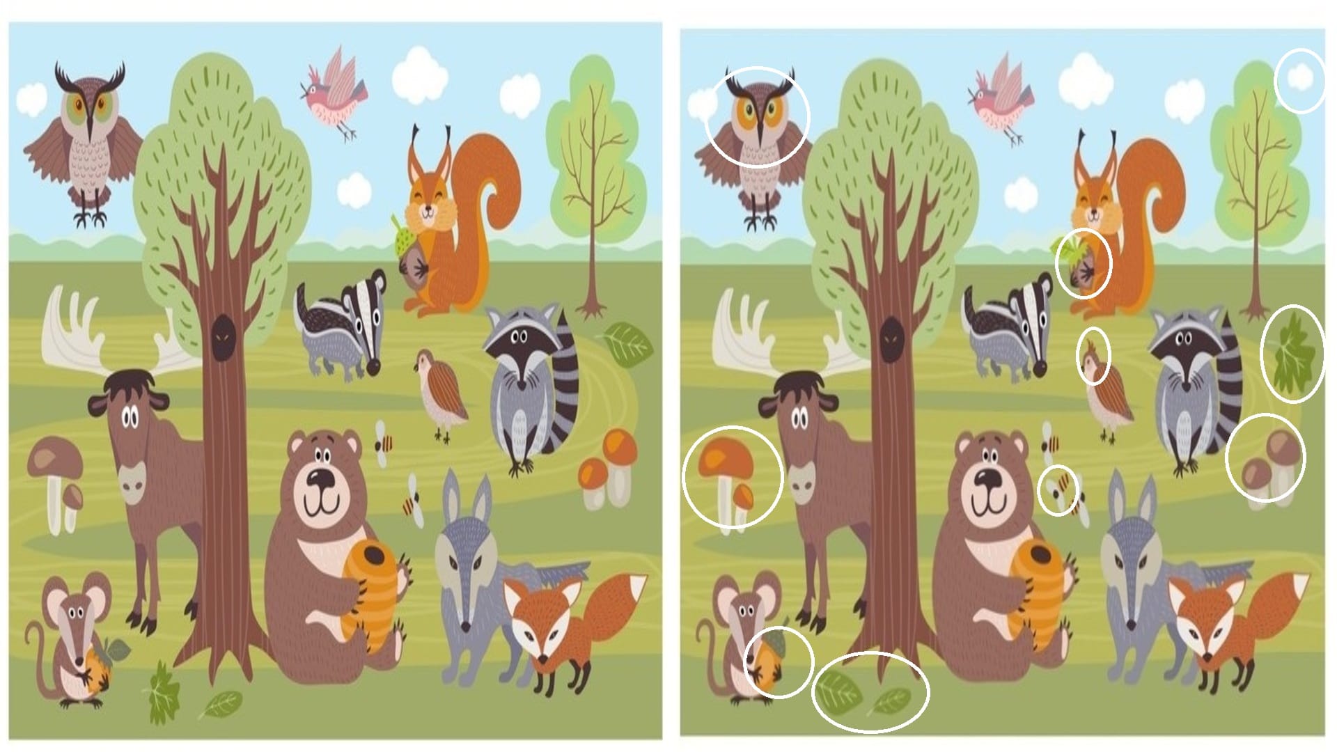 optical illusion find ten differences in these picture quiz puzzle game