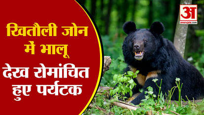 Bandhavgarh Tiger Reserve: Tourists were thrilled to see bears during safari in Khitauli zone