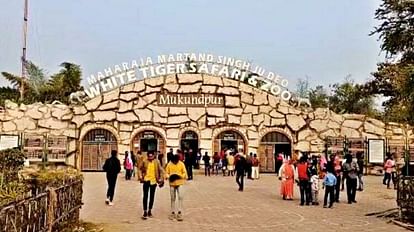 Satna: मुकुंदपुर टाइगर सफारी में पर्यटकों को लुभाएगी लंदन बस, तीन डिब्बे की टॉय ट्रेन की सवारी भी कर सकेंगे London bus will entice tourists in Satna Mukundpur Tiger Safari