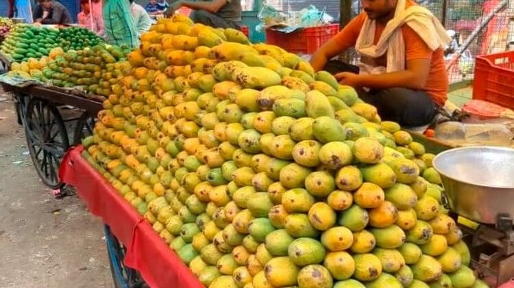 Rajasthan Sweetness Of Mango Spoiled Due To Storm And Hailstorm Weather ...