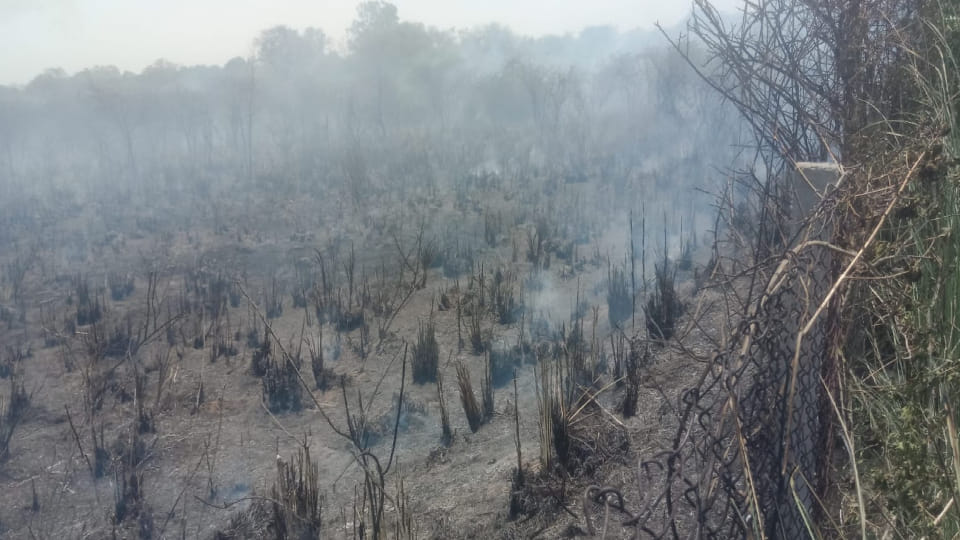 fire in forest of Keetham from spark from electric wire broke out in Agra