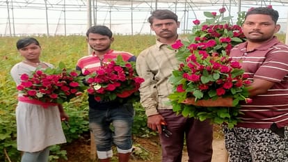 Roses are grown in the plateau with Israeli technology, earning millions, flowers are being sent to Delhi, Lu