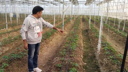 Roses are grown in the plateau with Israeli technology, earning millions, flowers are being sent to Delhi, Lu