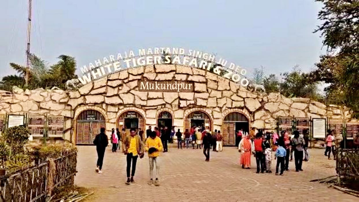 London bus will entice tourists in Satna Mukundpur Tiger Safari