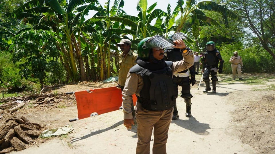 Panic among villagers for 10 hours after tigress entered in Rampur Dhakia village
