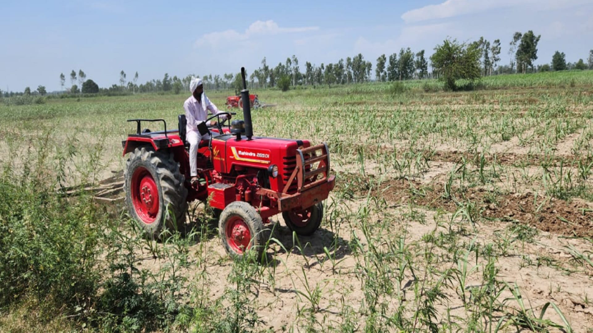 UP: officers have freed 600 bighas land between heavy ruckus by women in Bijnor district and see photos