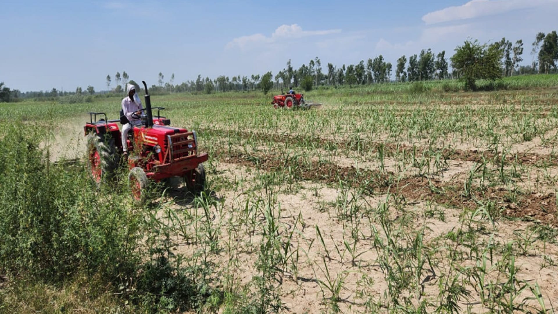 UP: officers have freed 600 bighas land between heavy ruckus by women in Bijnor district and see photos