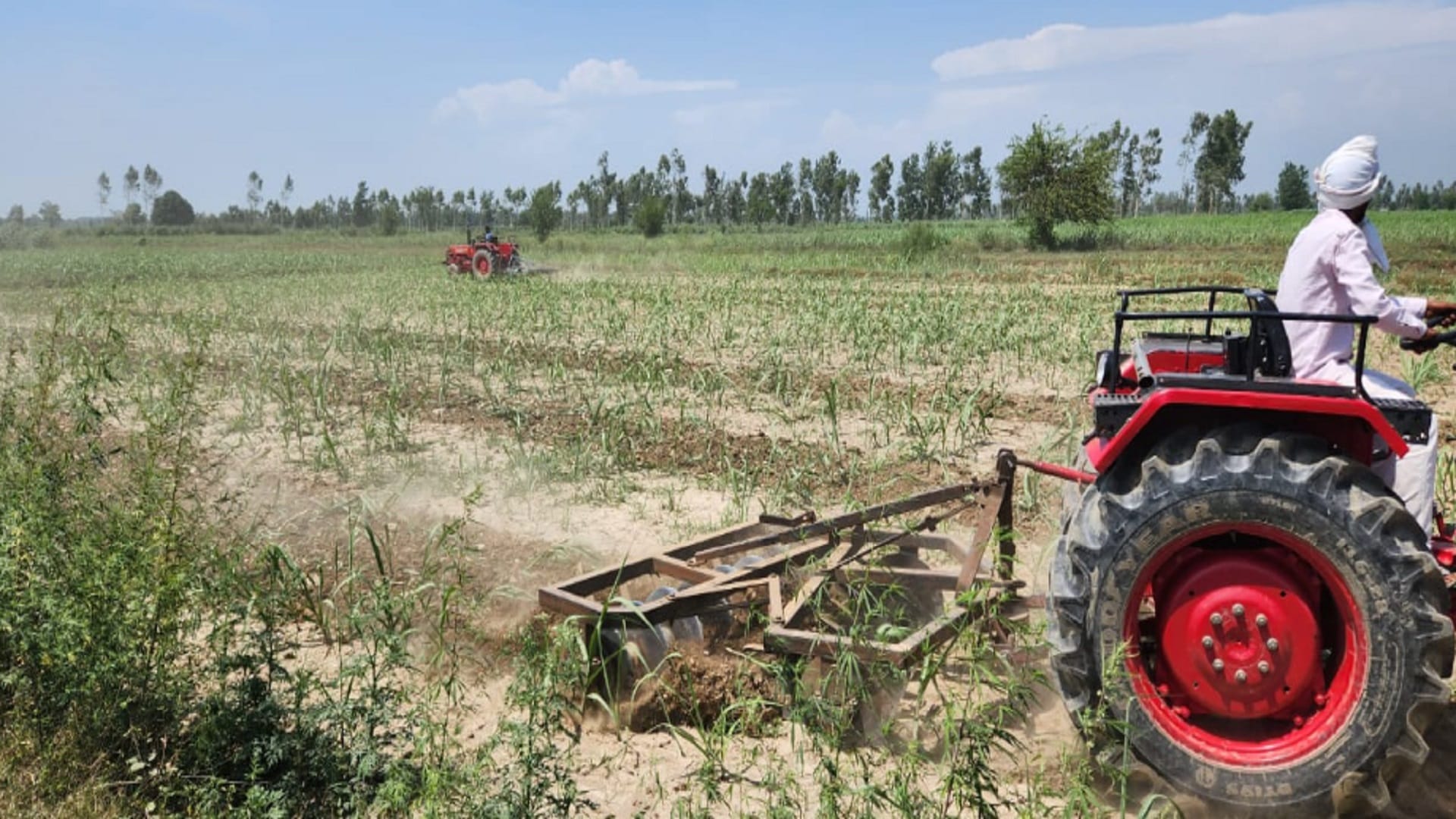 UP: officers have freed 600 bighas land between heavy ruckus by women in Bijnor district and see photos