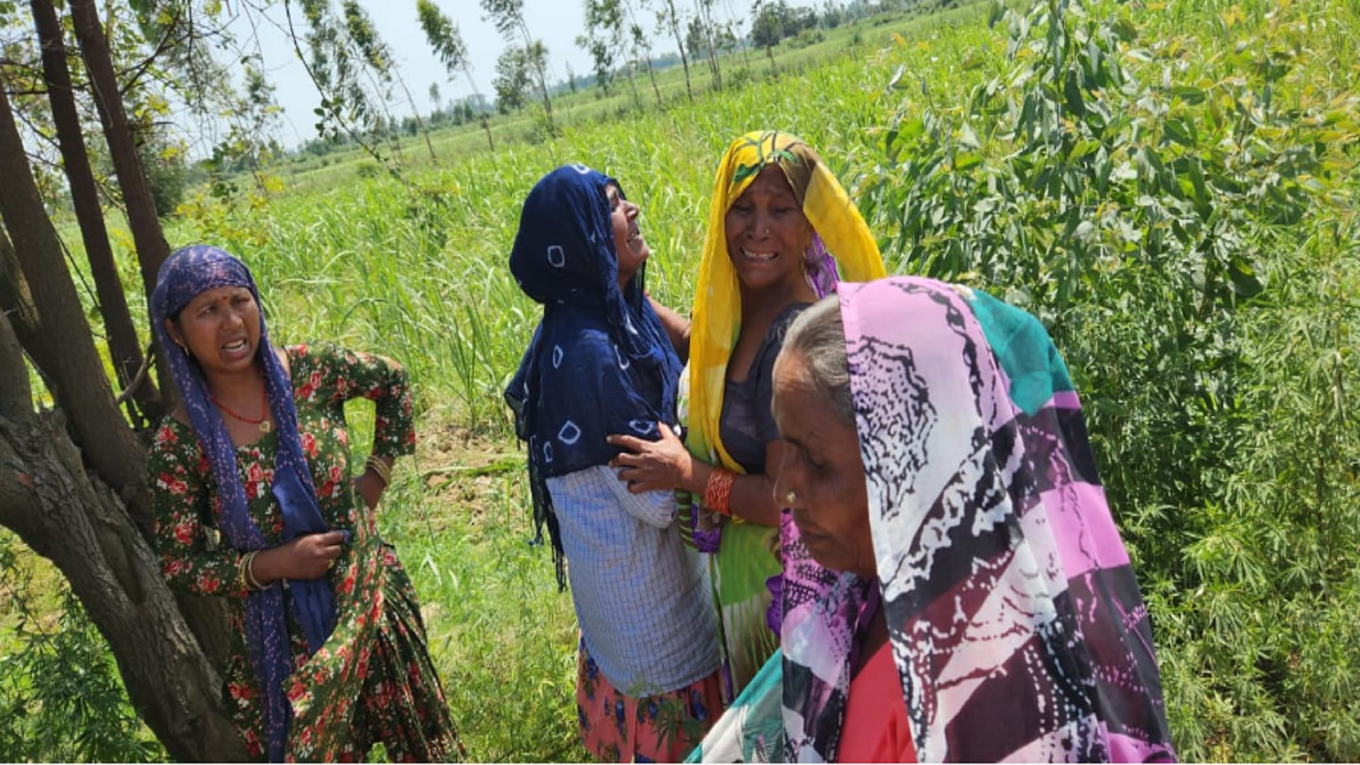 UP: officers have freed 600 bighas land between heavy ruckus by women in Bijnor district and see photos