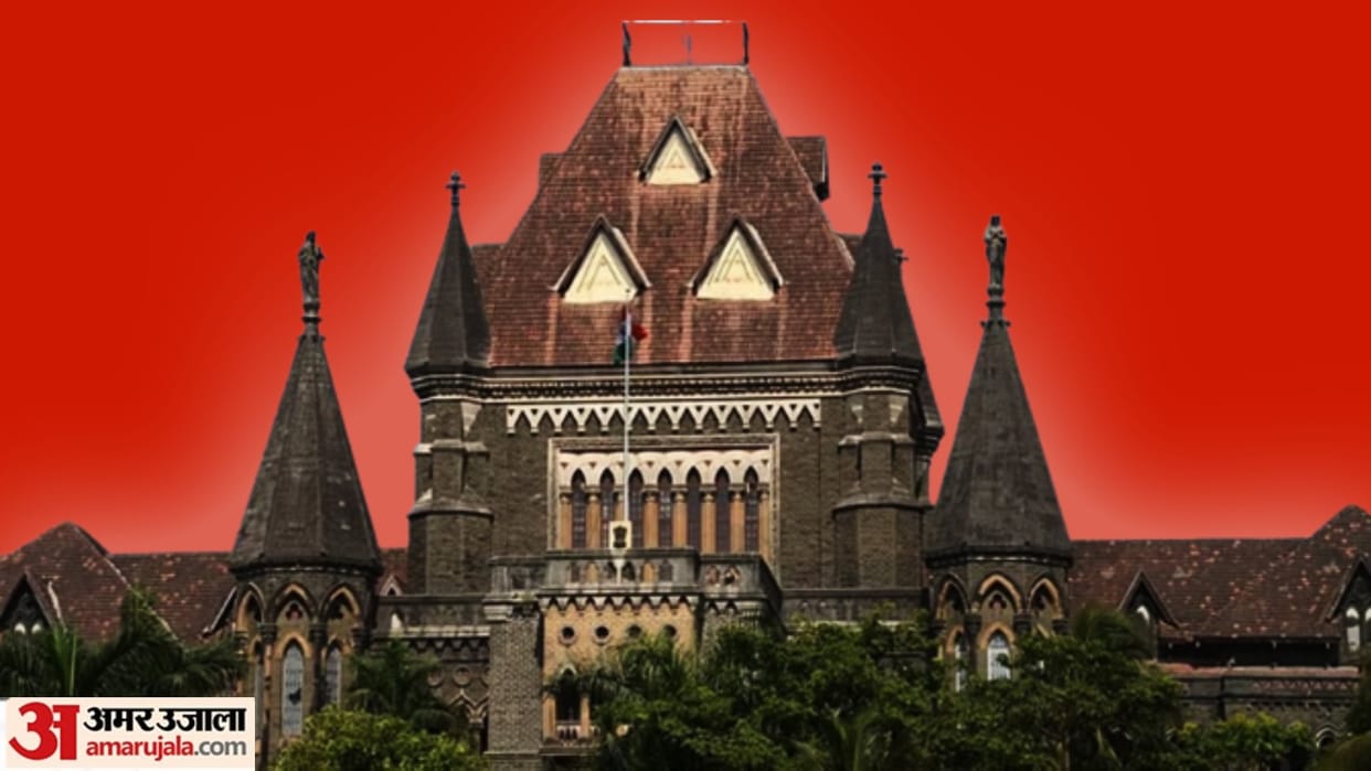 HC grants bail to man arrested in drug case mention this reason