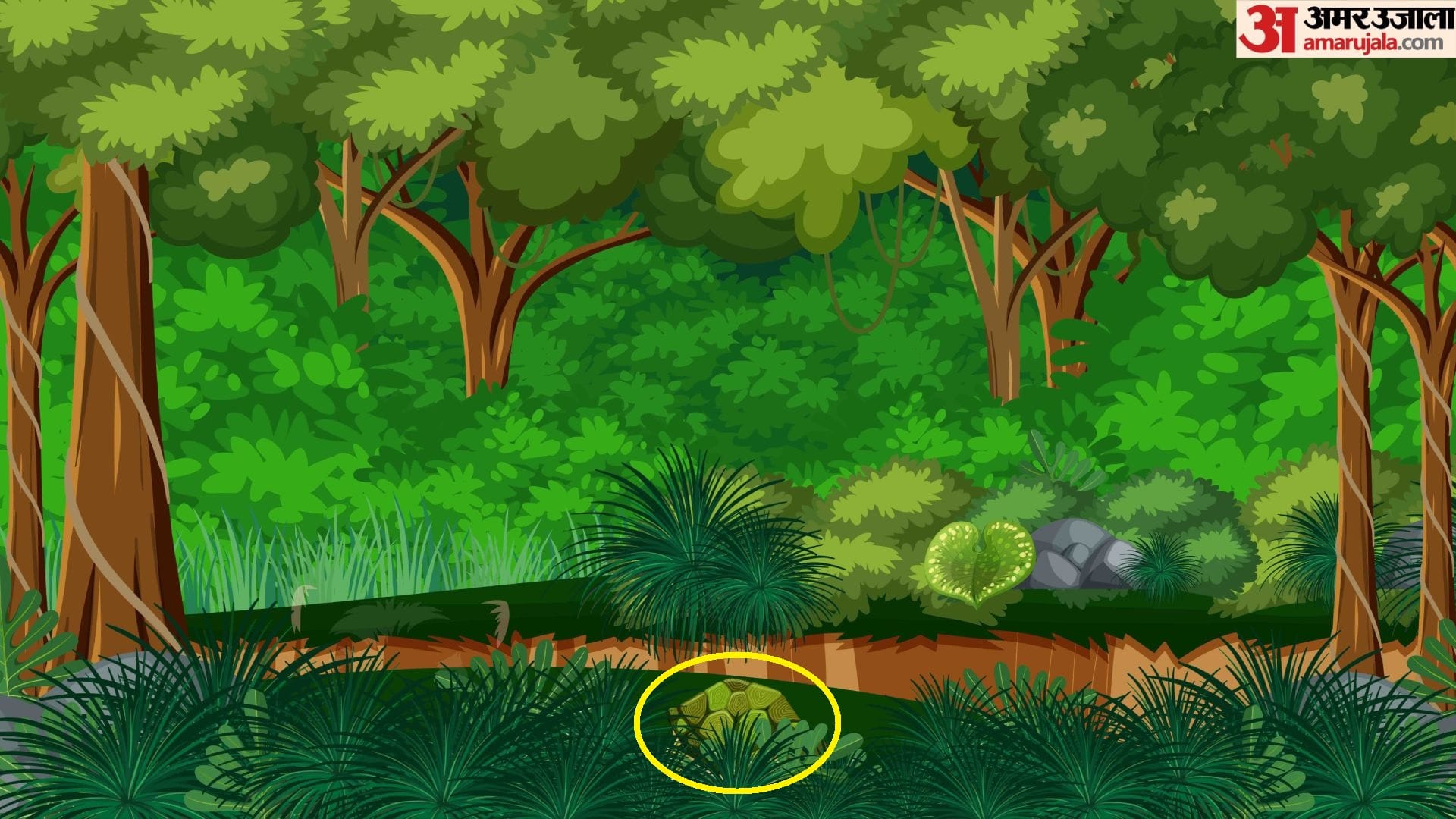Optical Illusion IQ Test: Can You Spot The Tortoise In The Forest In 8 Seconds?