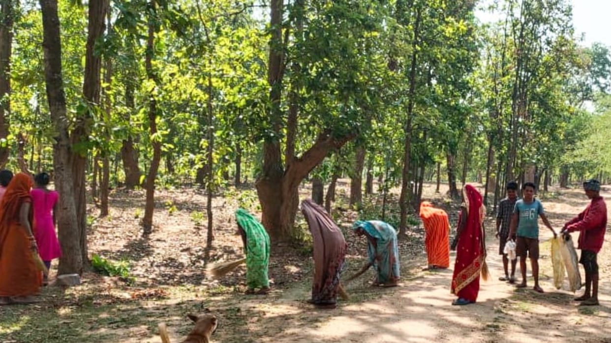 plantation done after cleaning tourist places on World Environment Day in GPM