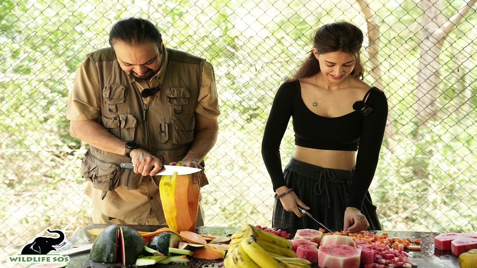 film star Disha Patani spent two days at Elephant Conservation Center in Mathura On World Environment Day