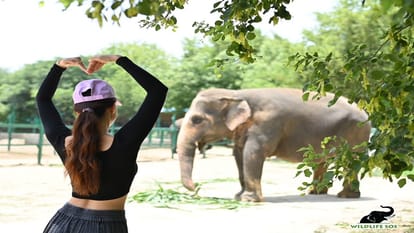 film star Disha Patani spent two days at Elephant Conservation Center in Mathura On World Environment Day