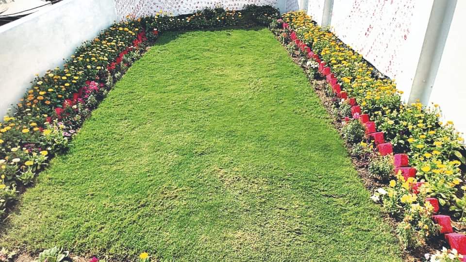 three storey house built without cutting a single branch of tree