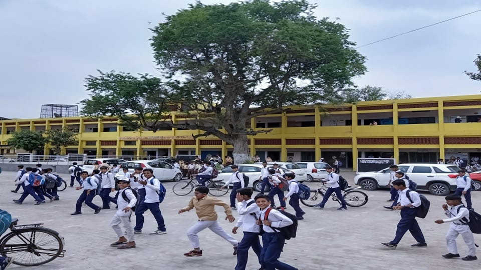 106 years old tamarind tree in Kaithal holds sour and sweet memories
