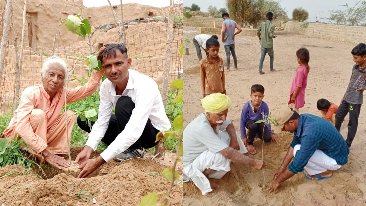 Jaisalmer News Home guard worker planted one thousand saplings in 25 years with father inspiration