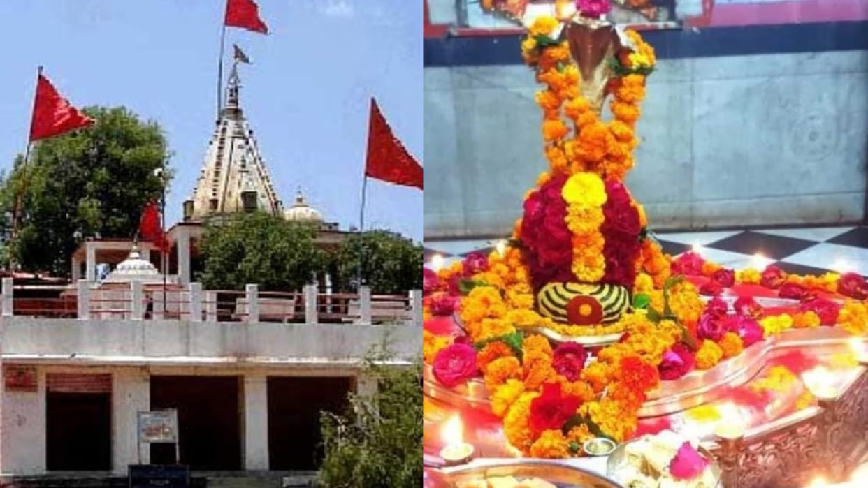 Ujjain News: Devotees throng Mangalnath temple in the scorching heat, earning more than 22 lakhs from worship