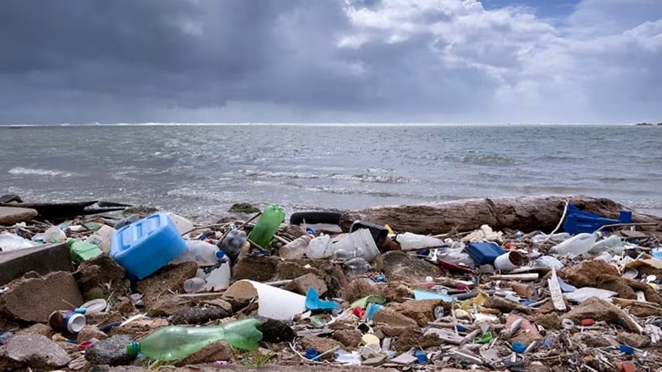 World Environment Day: ocean drowning in plastic, danger to humans as well as animals