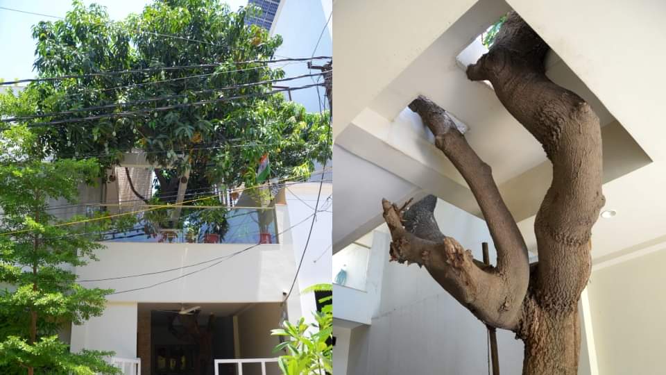 three storey house built without cutting a single branch of tree